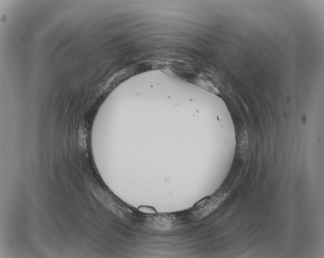 X0000086060282200704202108