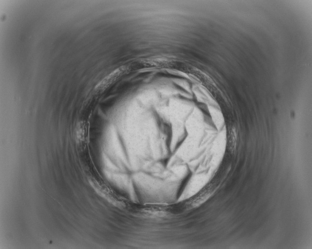 X0000086060284200704202108