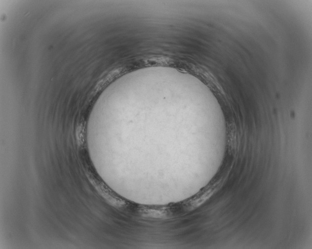 X0000086060285200704202108