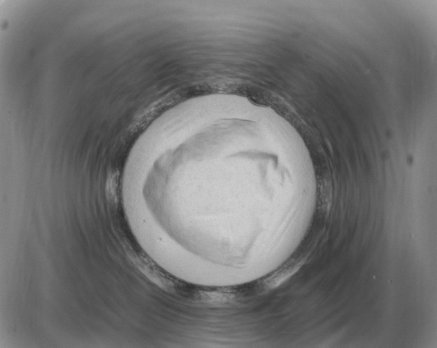 X0000086060286200704202108