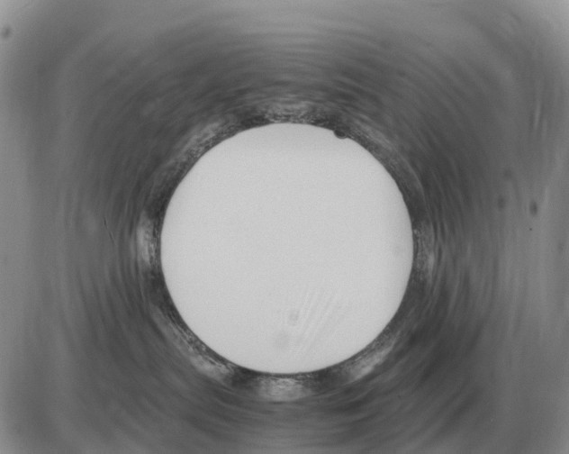 X0000086060287200704202108