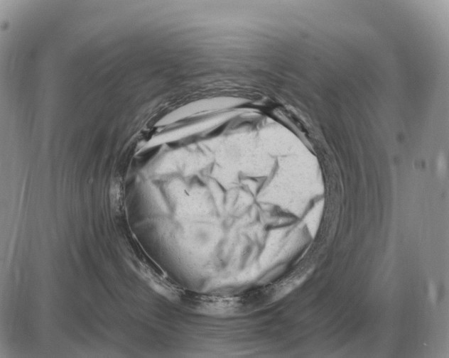 X0000086060288200704202108