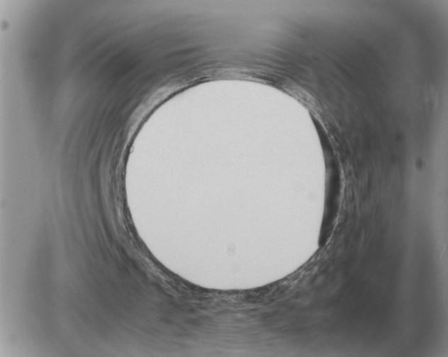 X0000086060289200704202108