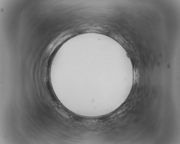 X0000086060291200704202108