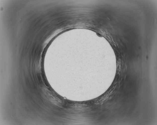 X0000086060292200704202108