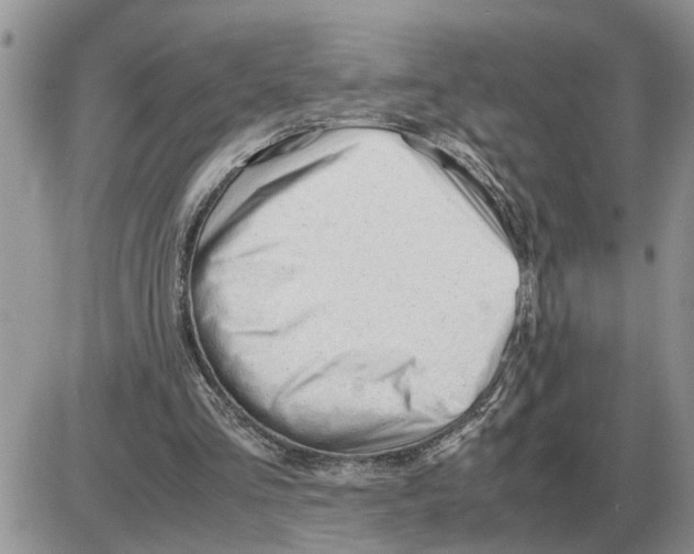 X0000086060293200704202108