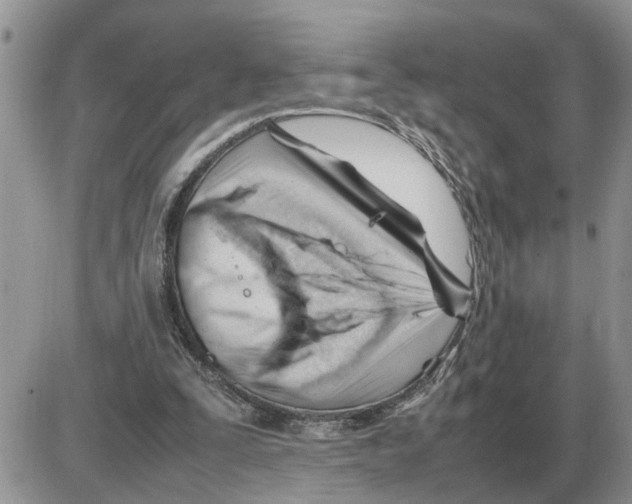 X0000086060295200704202108