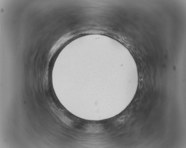 X0000086060296200704202108