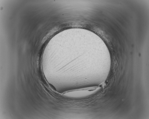 X0000086060299200704202107