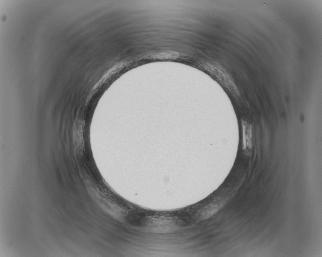 X0000086060300200704202107