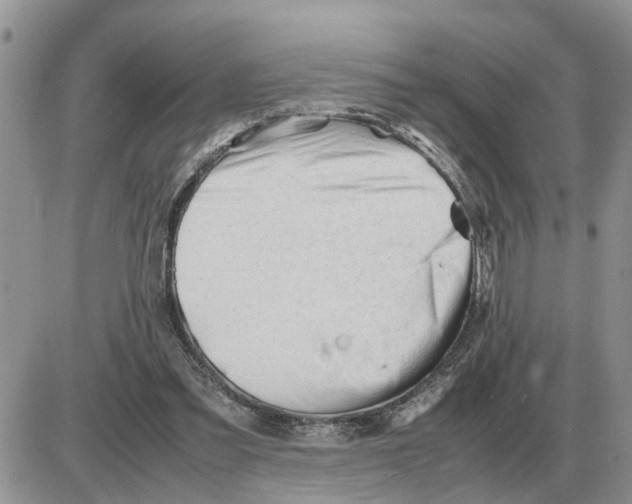 X0000086060301200704202107