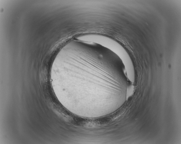 X0000086060303200704202107