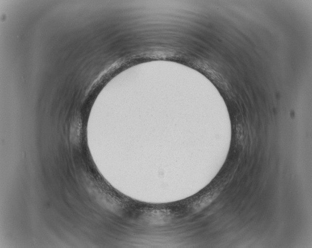 X0000086060304200704202107