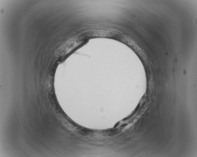 X0000086060305200704202107