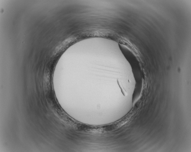 X0000086060306200704202107