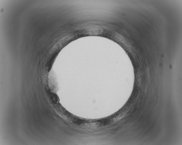 X0000086060307200704202107