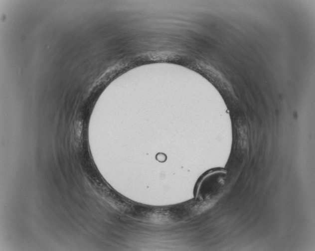 X0000086060308200704202107