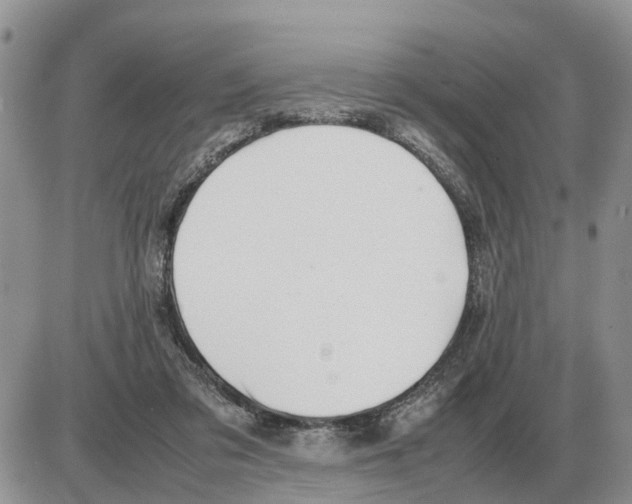 X0000086060309200704202107