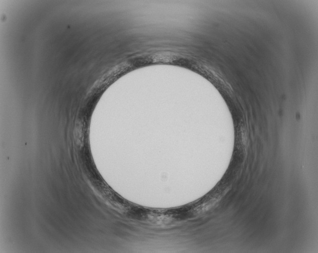 X0000086060311200704202107