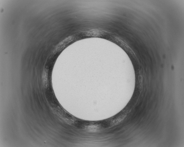 X0000086060312200704202107