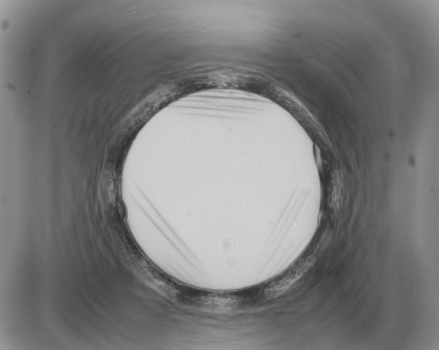 X0000086060313200704202107