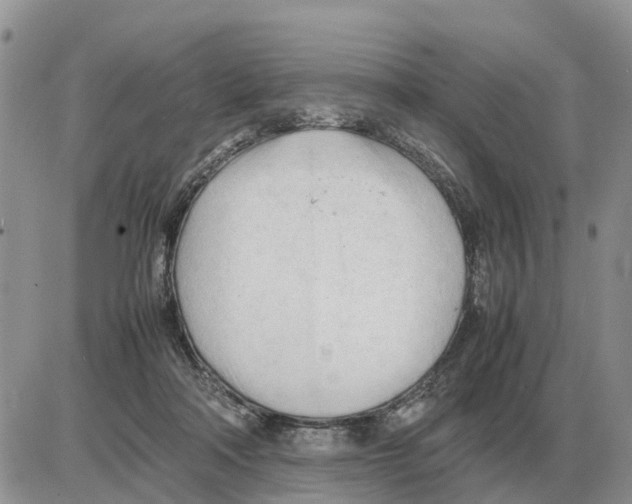 X0000086060314200704202107