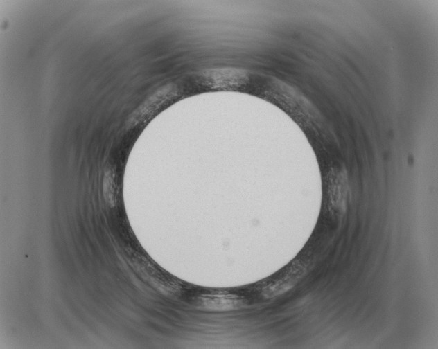 X0000086060316200704202107