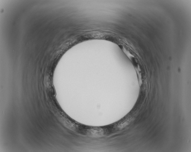 X0000086060317200704202107