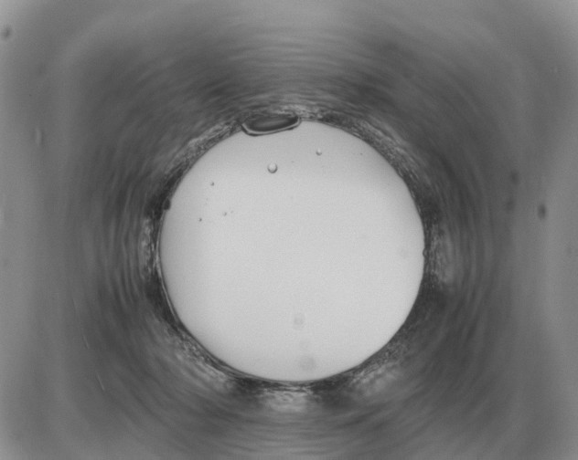 X0000086060318200704202107