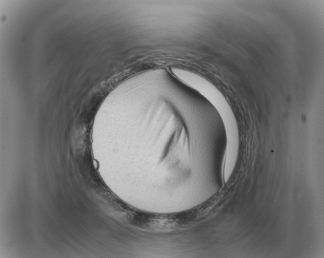 X0000086060319200704202107