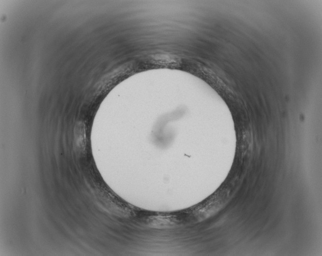 X0000086060320200704202107