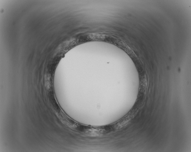 X0000086060323200704202107