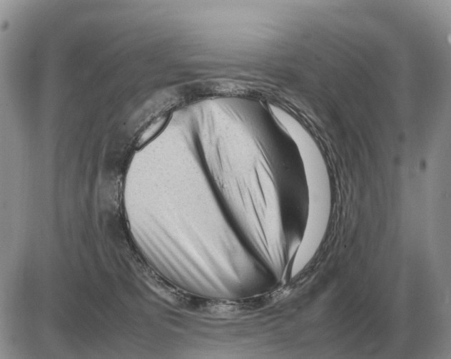 X0000086060325200704202107