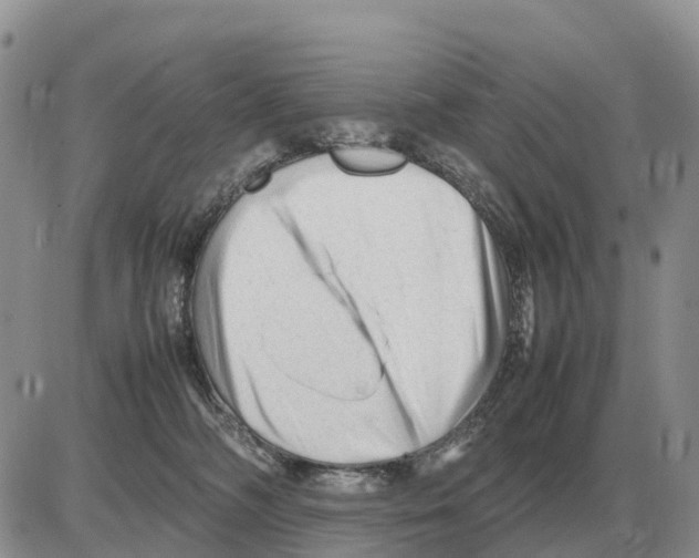 X0000086060326200704202107