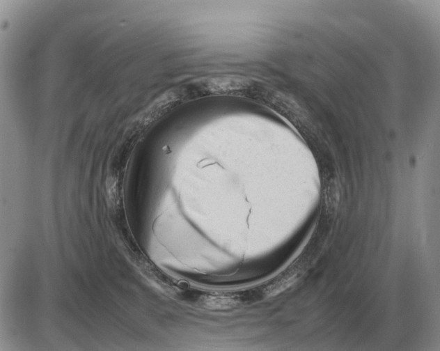 X0000086060327200704202107