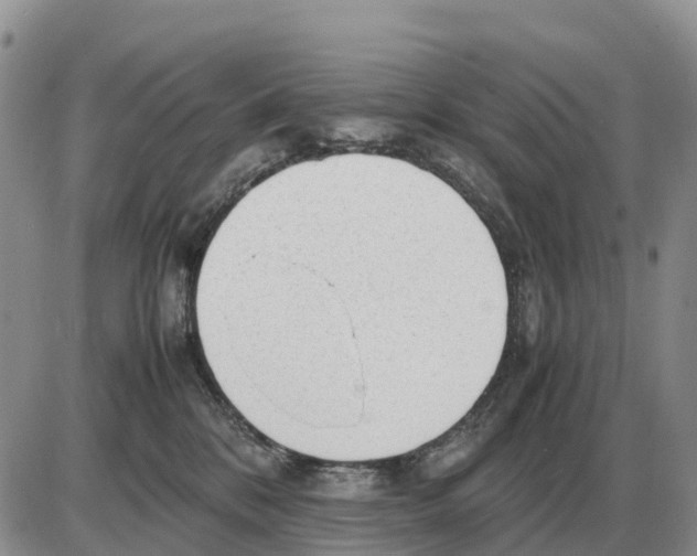 X0000086060328200704202107