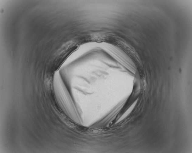 X0000086060329200704202107