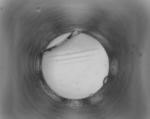 X0000086060330200704202107