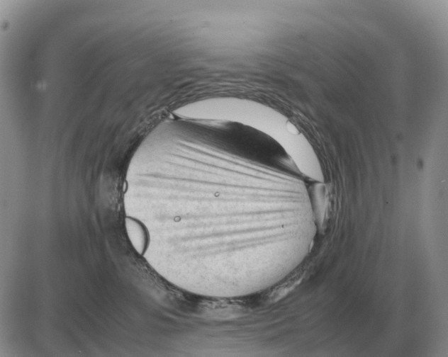 X0000086060331200704202107