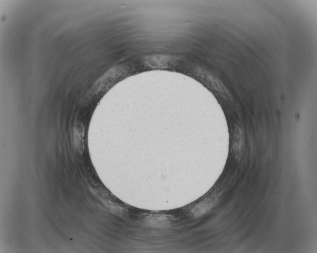 X0000086060332200704202107