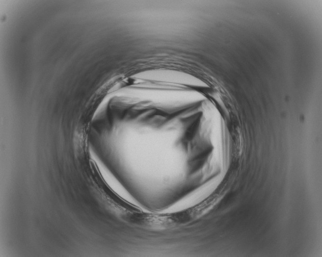 X0000086060333200704202107