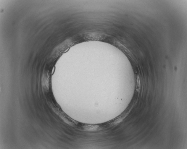 X0000086060334200704202107