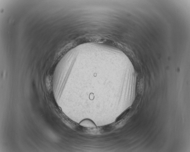 X0000086060335200704202107