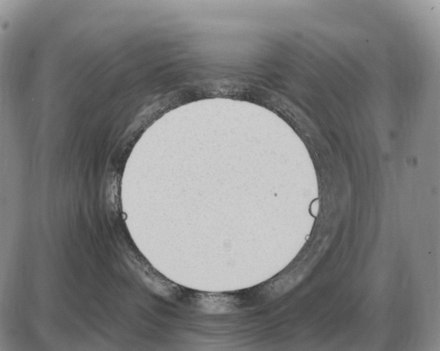 X0000086060336200704202107