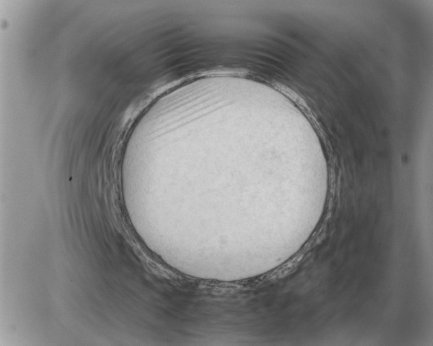 X0000086060337200704202106