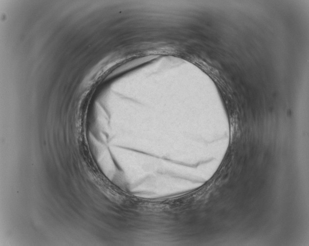 X0000086060339200704202106