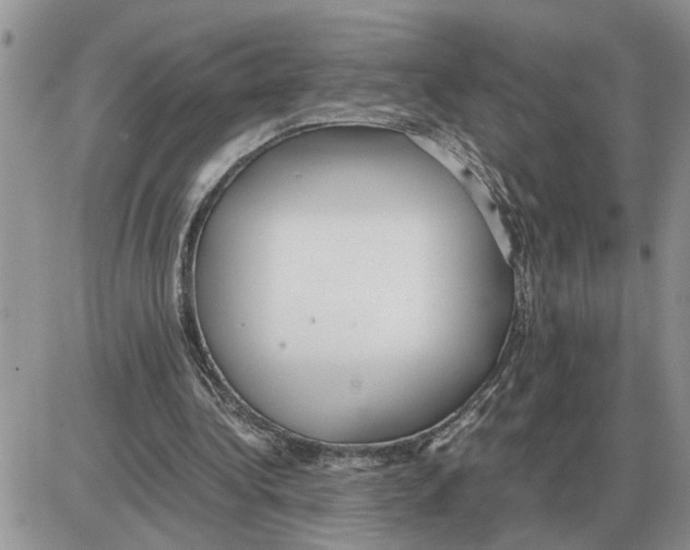 X0000086060340200704202106