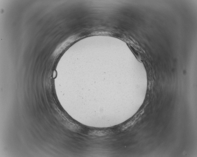 X0000086060341200704202106