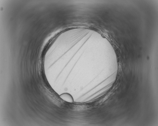 X0000086060342200704202106