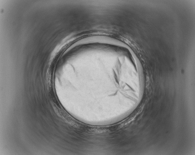 X0000086060343200704202106